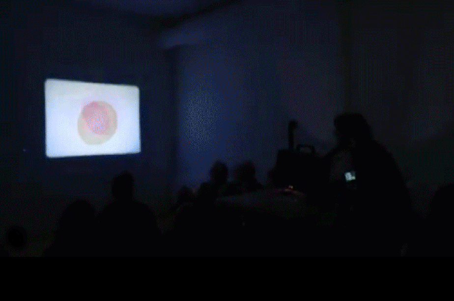 Expanded Cinema Performance at the Ann Arbor Film Festival in the U.S.