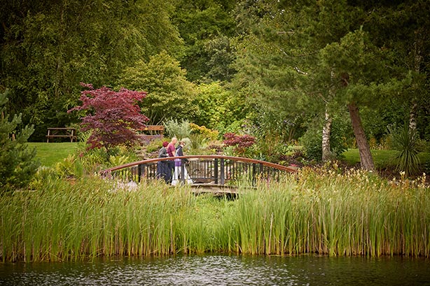 FOE western campus lake bridge