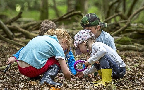 Children playing with leaves in the forest