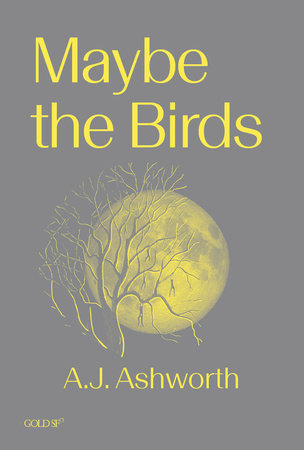 A Reminder about Maybe the Birds