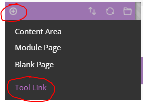 Imagine demonstrating how to add a tool link to menu in learning edge
