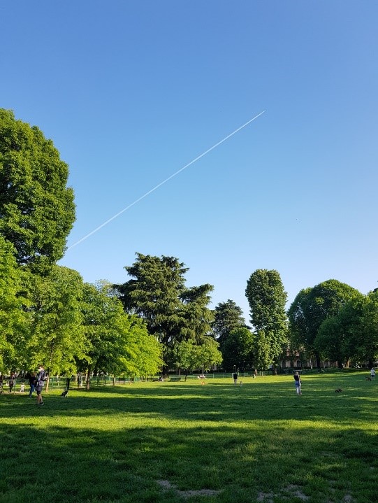 People walking on green grass field near green trees under blue sky during daytime