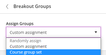 The location of the Course group set option in the Assign Groups drop down menu.