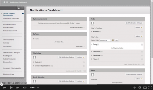 How do I save my report