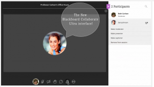 Blog 3 Bb Collab Case Study