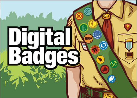 Image of boy scout wearing a sash covered in badges