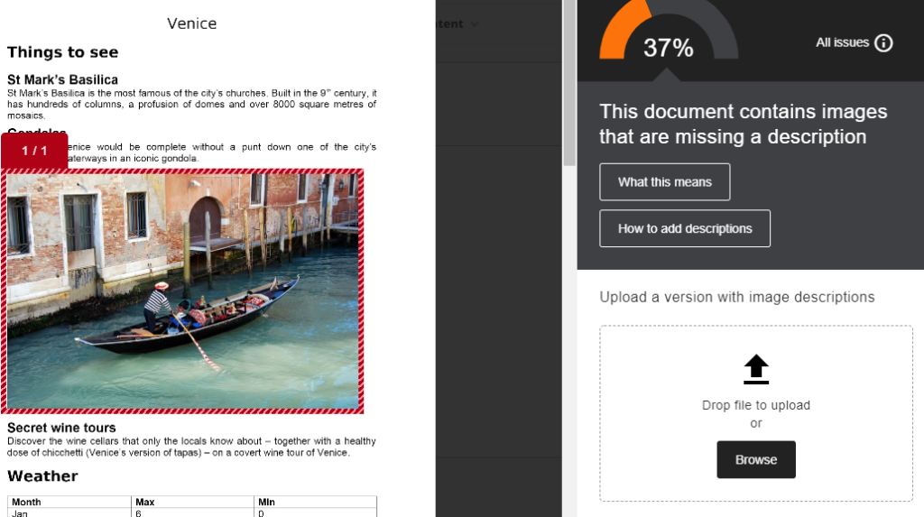 Ally Instructor Feedback Panel showing what the interface looks like.