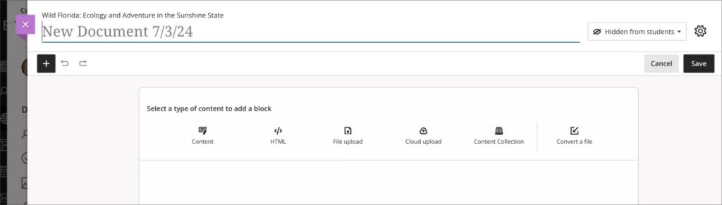 Empty Document with block options 