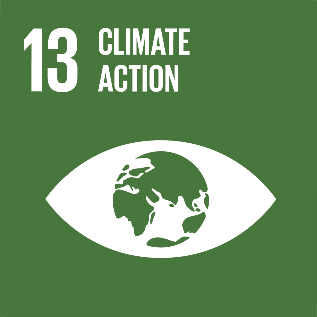 icon for SDG 13: Climate Action