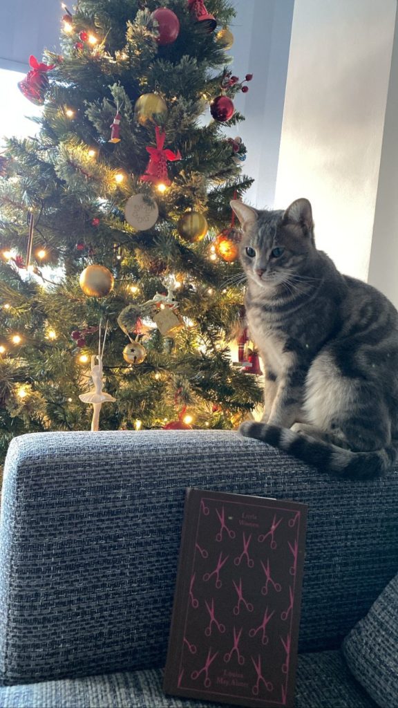 a cat sat on a sofa arm, with a book and Christmas tree