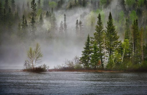 A lake set against a forest scene. Mist rises in the background against the trees.