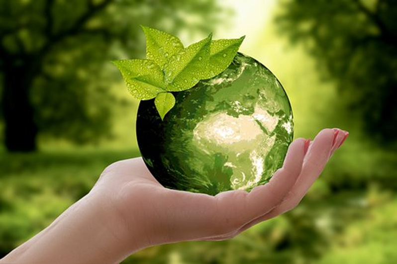A sphere which resembles the Earth, held in a person's hand. It is green and set against a green background. A leaf is balanced on top of the globe.
