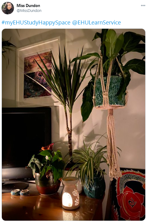 Eleanors botanical study space.