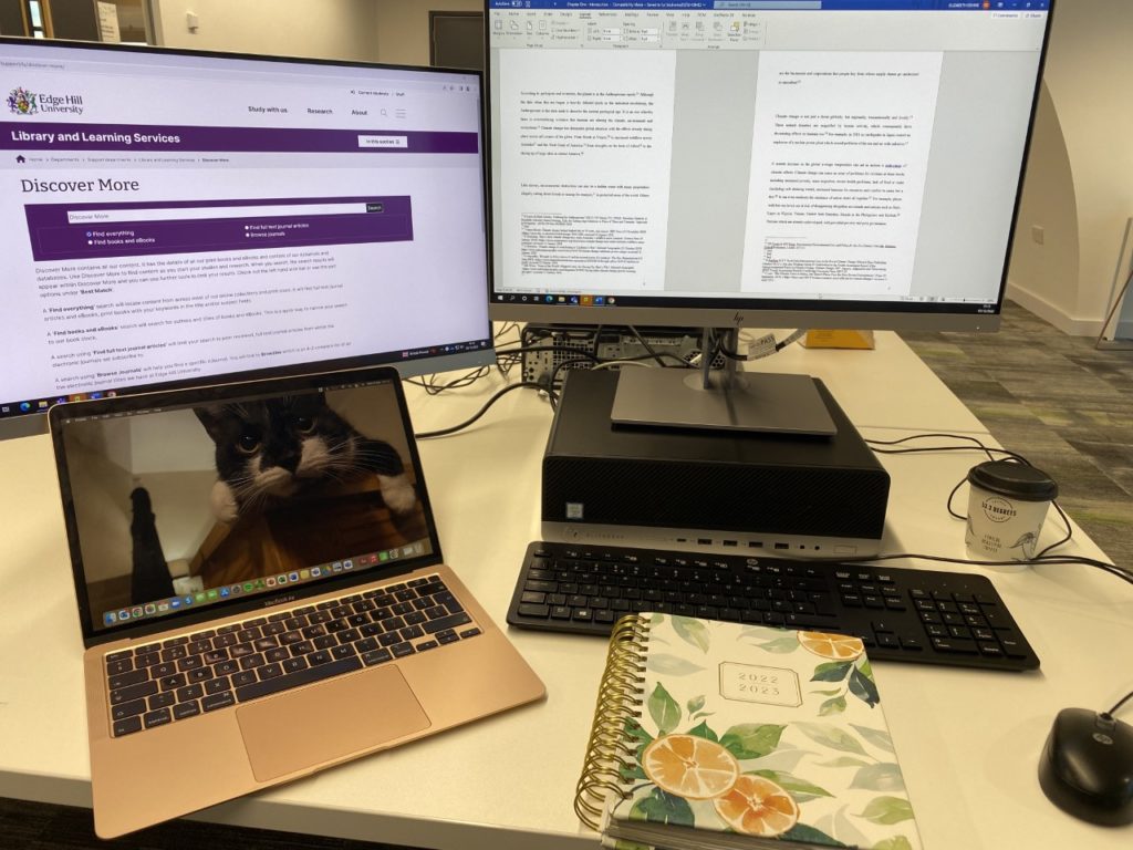 a laptop connected to a screen with an image of a cat and a note book