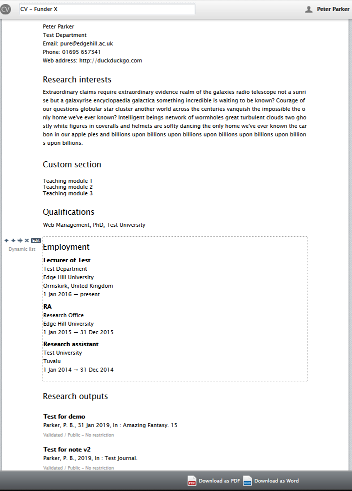 Screenshot of a dummy generated CV in Pure