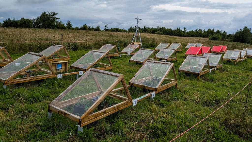 Mini greenhouses on a field.