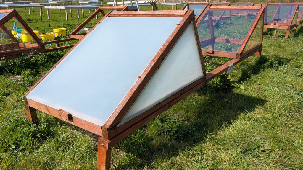 A close up of a mini greenhouse in a field.
